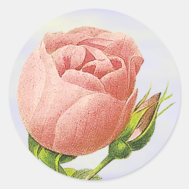 Botanical Pink Rosebud Sticker (Front)