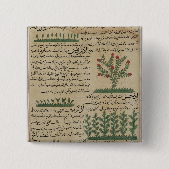 Botanical plants, illustration from 'The 2 Inch Square Button (Front)