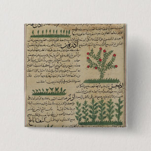 Botanical plants, illustration from 'The 2 Inch Square Button