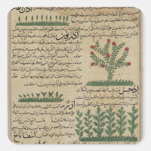 Botanical plants, illustration from 'The Square Sticker