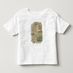 Botanical plants, illustration from 'The Toddler T-shirt