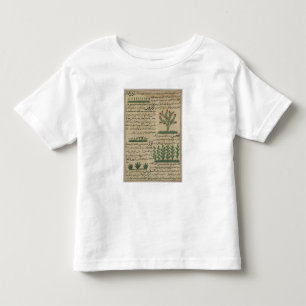 Botanical plants, illustration from 'The Toddler T-shirt