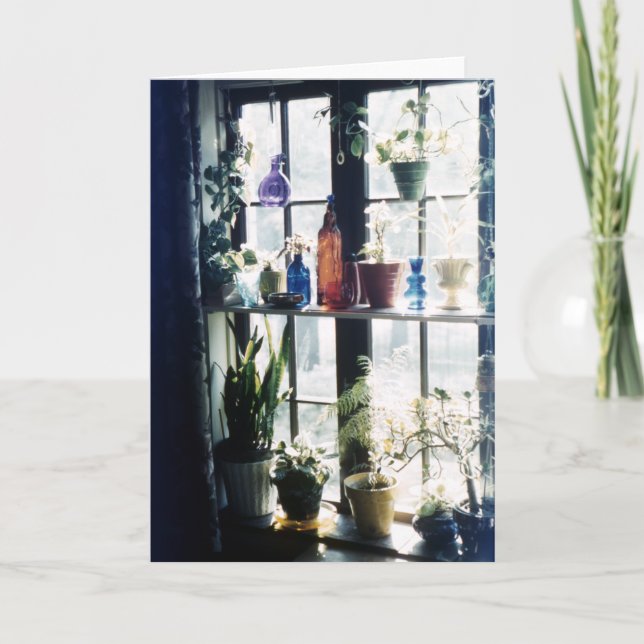 Botanical Plants in Colourful Glass Bottles Card (Front)