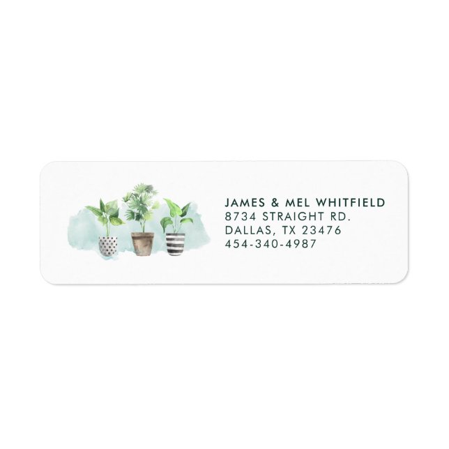 Botanical Potted Plants Chic Return Address (Front)