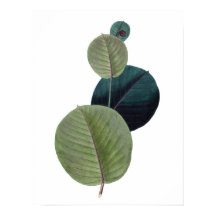 Botanical PREMIUM QUALITY print of manihot leaves