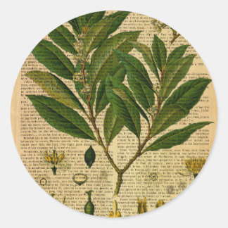 Botanical print on old book page classic round sticker