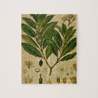 Botanical print on old book page jigsaw puzzle