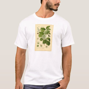 Botanical Print - Poison Ivy (Toxicodendron) T-Shirt