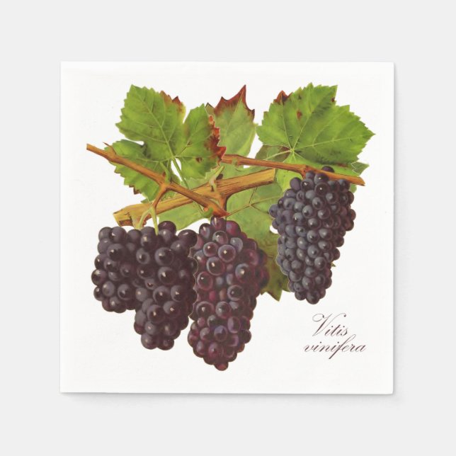 Botanical Purple Grapes Paper Napkins (Set of 50) (Front)