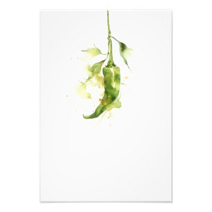 Botanical Red Pepper Watercolor Art Print-Stage2  Photo Print