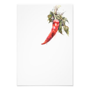 Botanical Red Pepper Watercolor Art Print-Stage3  Photo Print