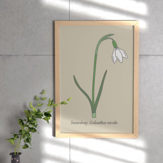 Botanical Snowdrop Pastel Flower  Poster (Botanical Snowdrop Poster)