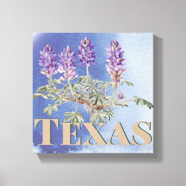 Botanical Texas Bluebonnet 2  Canvas Print (Front)