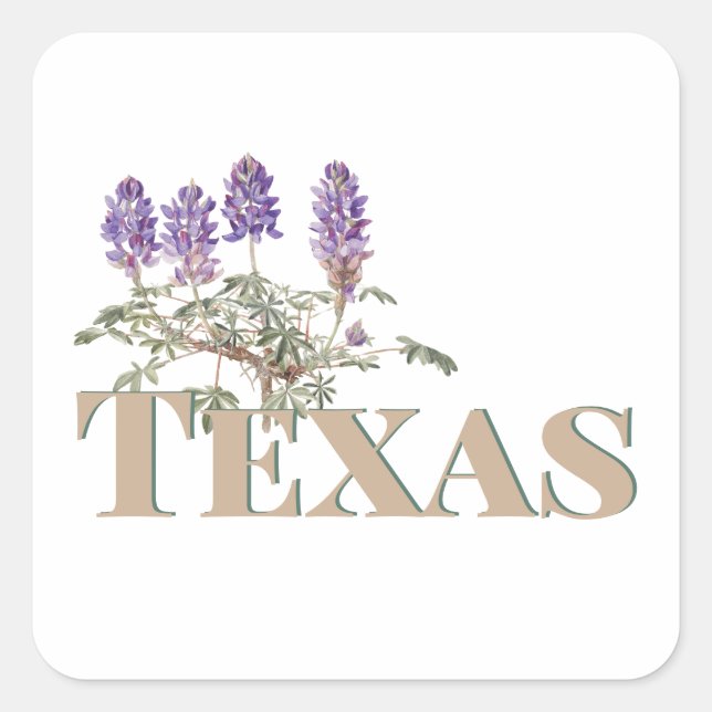 Botanical Texas Bluebonnet 2  Square Sticker (Front)