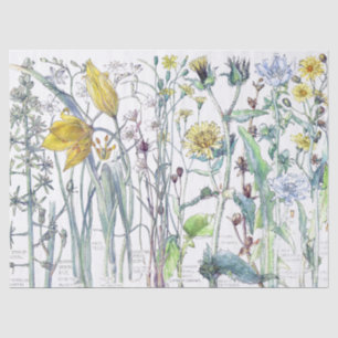 Botanical Tulip Flower Wildflowers Tissue Paper