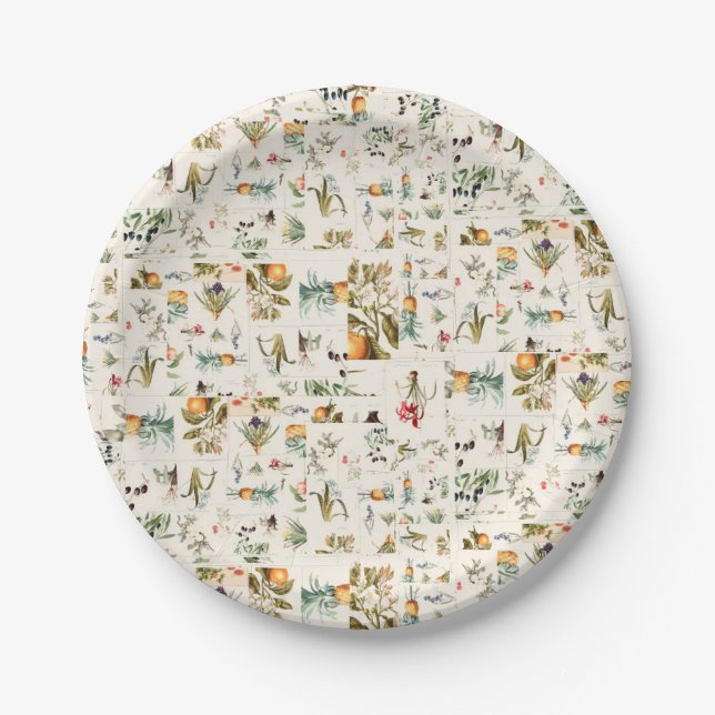 Botanical Vintage Illustrations Collage Paper Plate (Front)