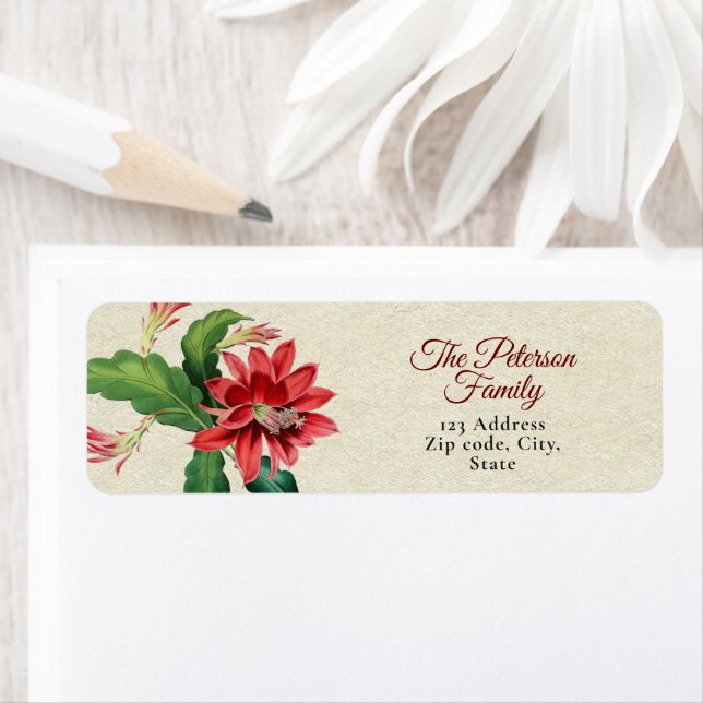 Botanical Vintage Red Christmas Cactus Flower (Insitu)
