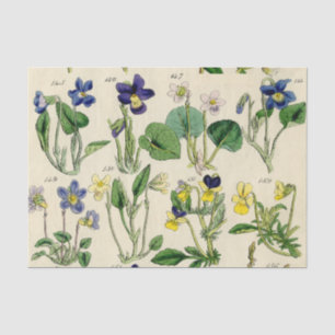Botanical Violets Vintage Flower Tissue Paper