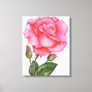 Botanical Wall Art Pink Rose Floral Art Flower