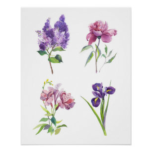 Botanical Watercolor Studies – Lilac, Peony, Iris Poster