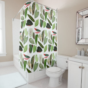 Botanical Watercolor Vintage Greenery Leaves 