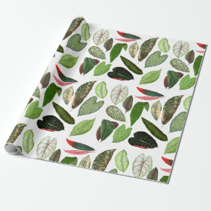 Botanical Watercolor Vintage Greenery Leaves   Wrapping Paper