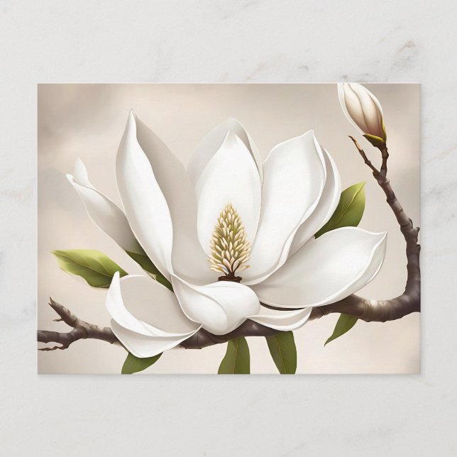 Botanical White Magnolia Postcard (Front)