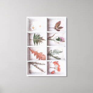 Botanical White Shadow Box, Flowers Leaves Ferns Canvas Print