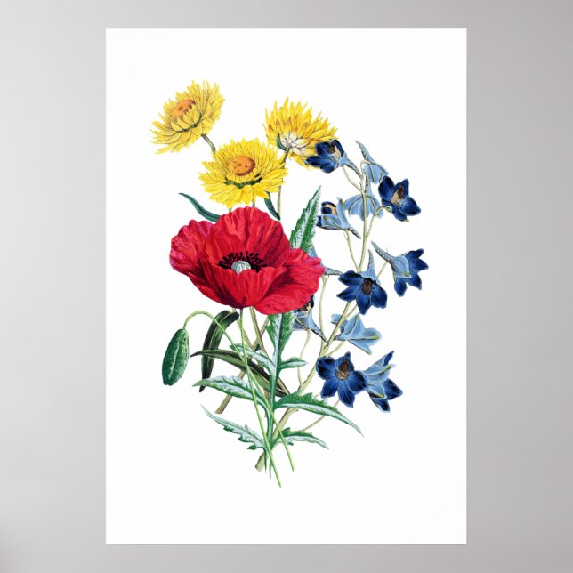 Botanical Wild Flowers Bouquet Poster (Front)