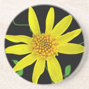 Botanical Yellow Wildflower on any Colour Coaster