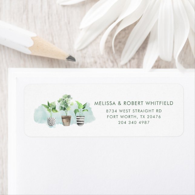 Botanique Boho Plantes Moving Return Adresse (En situation)