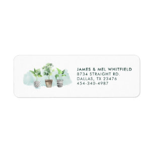Botanique Poted Plante Chic Adresse de retour