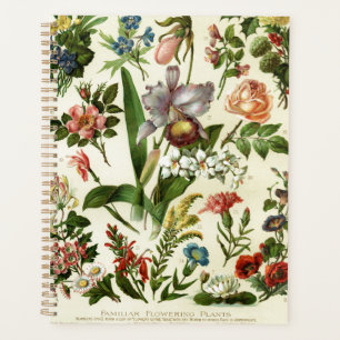 Botaniques de fleurs