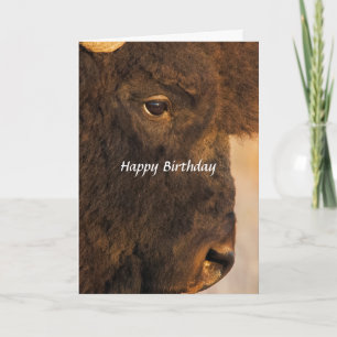Both Ends Of The Buffalo 2 Humourous Card