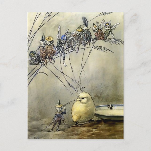 “Bother the Gnat” by A Duncan Carse Postcard (Front)