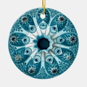 Botryllus polycyclus Ernst Haeckel Fine Art Ceramic Ornament