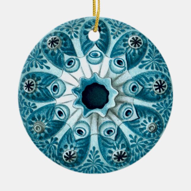 Botryllus polycyclus Ernst Haeckel Fine Art Ceramic Ornament (Front)