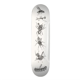 Bots Riding Bugs Collage Skateboard