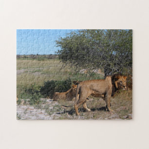 Botswana Central Kalahari Lions Savannah Travel Jigsaw Puzzle