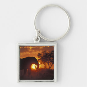 Botswana, Chobe National Park, Bull Elephant Keychain