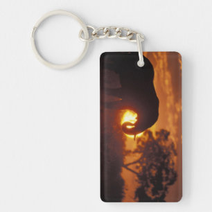 Botswana, Chobe National Park, Bull Elephant Keychain