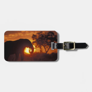 Botswana, Chobe National Park, Bull Elephant Luggage Tag