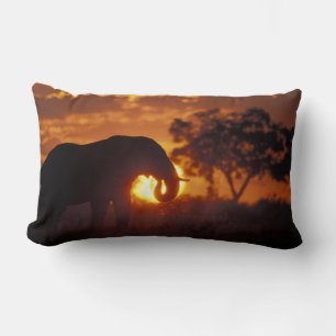 Botswana, Chobe National Park, Bull Elephant Lumbar Pillow