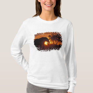 Botswana, Chobe National Park, Bull Elephant T-Shirt