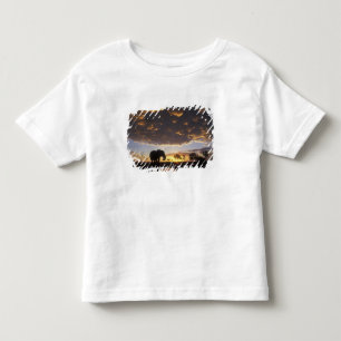 Botswana, Chobe National Park, Elephant Toddler T-shirt