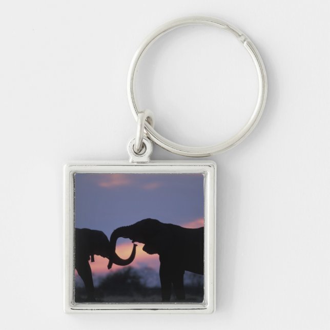 Botswana, Chobe National Park, Elephants Keychain (Front)