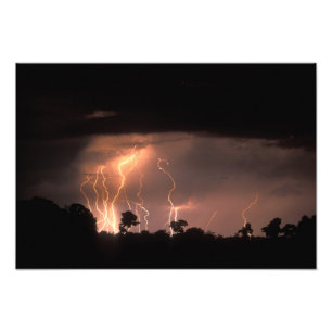 Botswana, Moremi Game Reserve, Lightning fills Photo Print