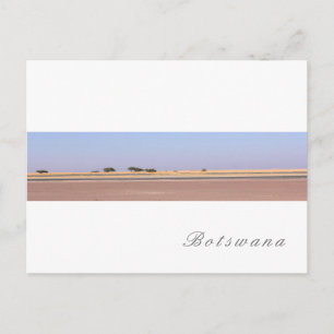 Botswana Salt Pans Savannah Grass Landscape Postcard