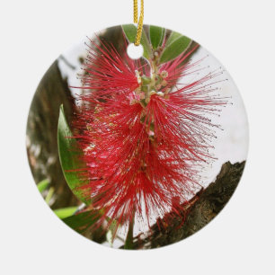 Bottle-Brush Callistemon 8 Ceramic Ornament
