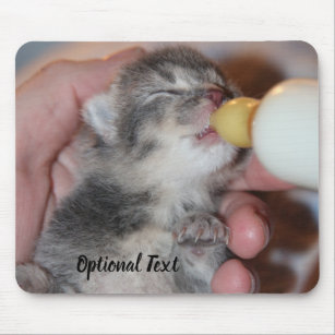 Bottle Feeding Newborn Rescue Tabby Kitten Mouse Pad